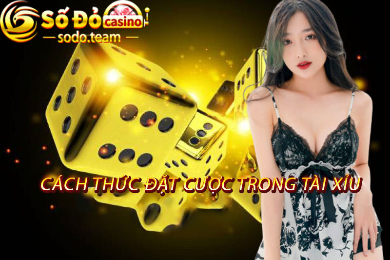 cách thức đặt cược trong tài xỉu