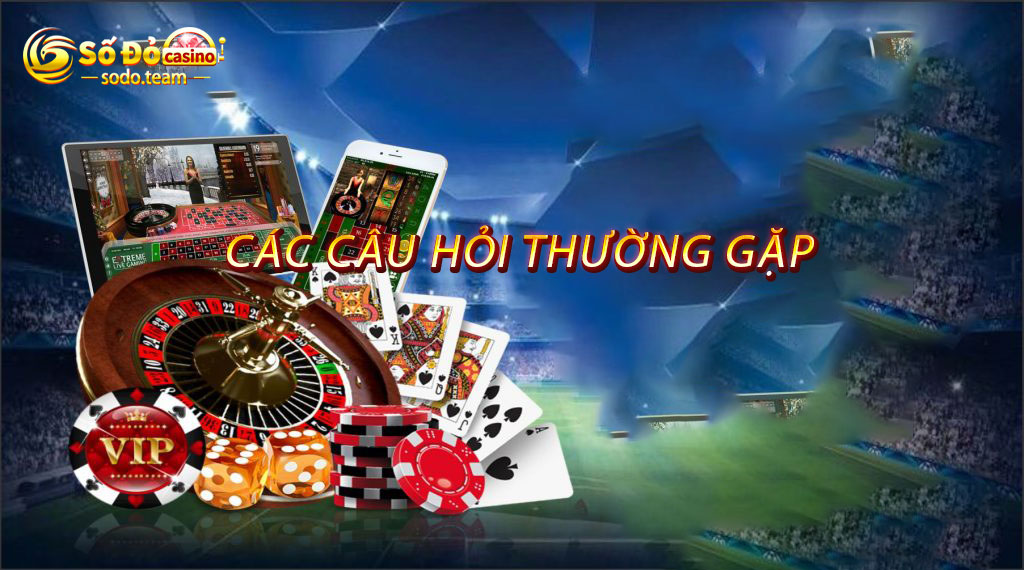 Các câu hỏi thường gặp