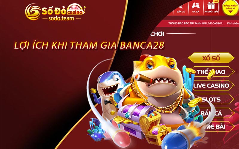 Lợi ích khi tham gia Banca28