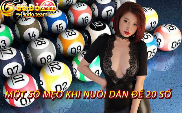 một số mẹo khi nuôi dàn đề 20 số