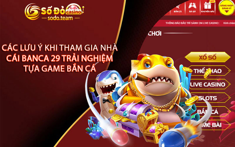 Các Lưu Ý Khi Tham Gia Nhà Cái Banca 29 Trải Nghiệm Tựa Game Bắn Cá