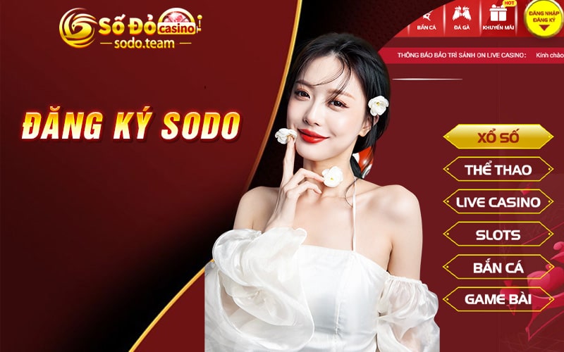 đăng ký sodo